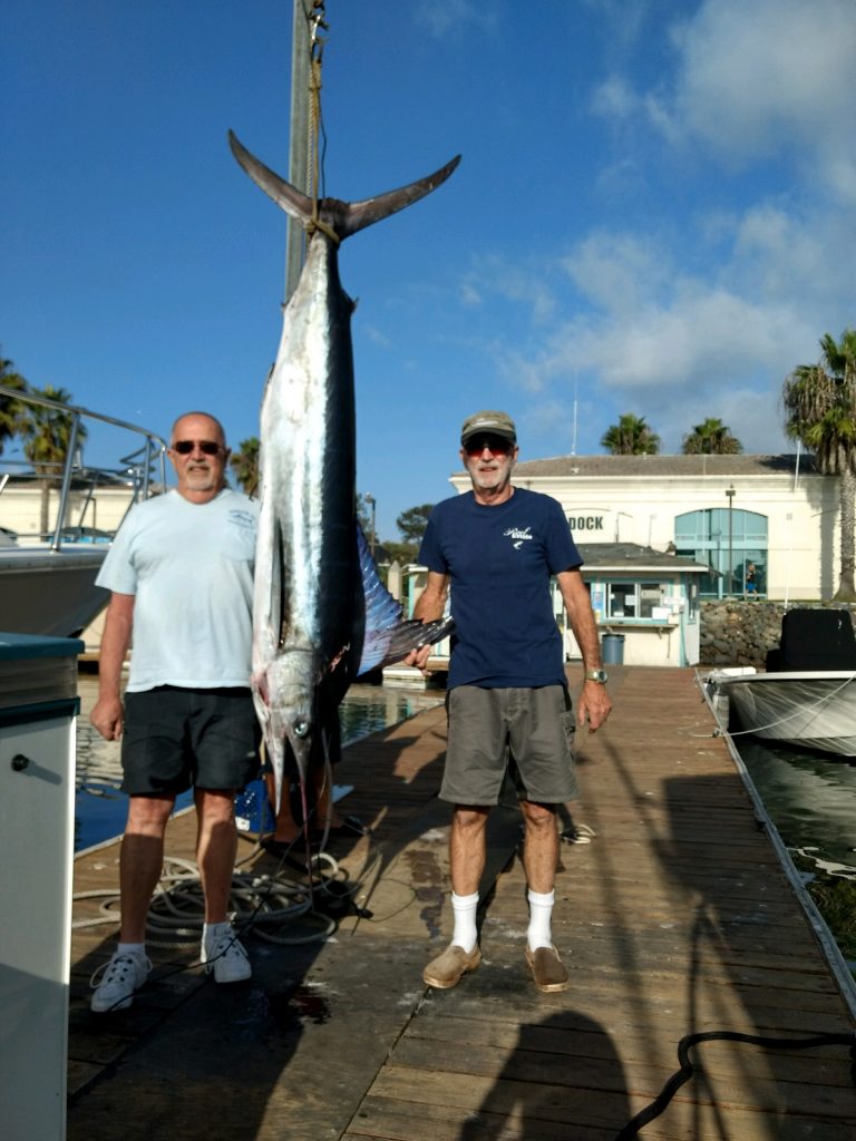 Marlin Mission Bay Marlin Club